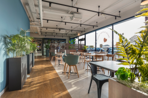 Ameline LEBLOND - ATELIER MAE